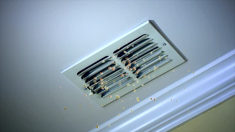 Best Affordable Air Duct Cleaning  in Dolton, IL