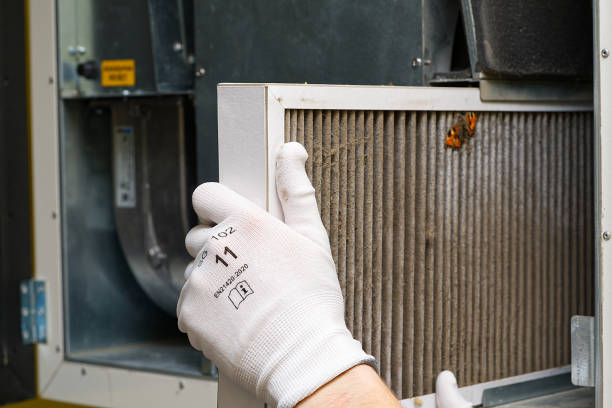 Best Affordable HVAC Duct Cleaning  in Dolton, IL