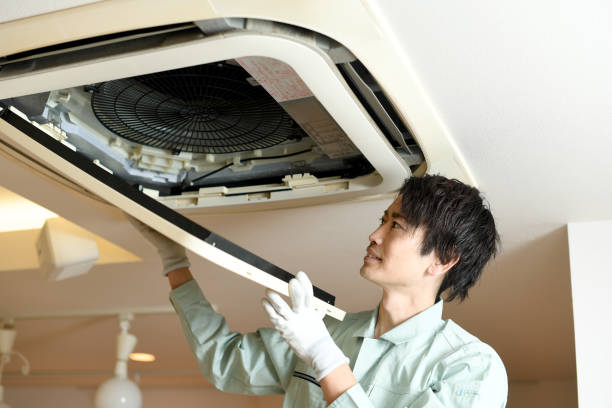 Best Affordable Duct Cleaning Services  in Dolton, IL