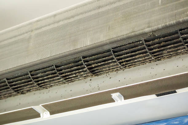Best Ductwork Cleaning Services  in Dolton, IL